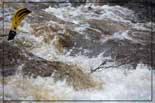 kayak agout 2013
